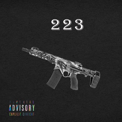 223 - Single