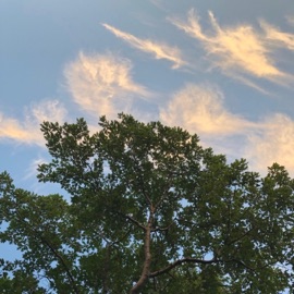 things will get better michaeljay