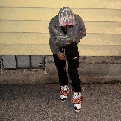Stunna Crazy - Single
