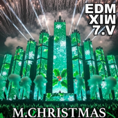 Drop the Bass (Feel The Beat EDM MIX 25) song art