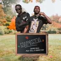 Napenda (feat. Mud Trill & Harmit Boy) - Single - Rhyme Boxx