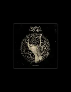 Listen to Wound, watch music videos, read bio, see tour dates & more!