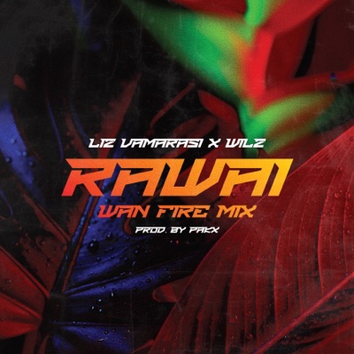 Rawai (wan Fire Mix) [feat. Wilz] - Single
