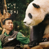 My dearest FU BAO (Original Movie Soundtrack) - 群星