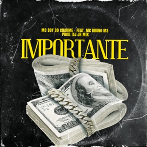 Importante (feat. MC Bruno MS)