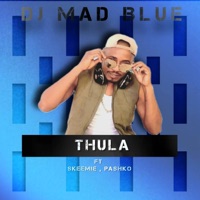 Thula (feat. Skeemie & Pashko) - Single - DJ Mad Blue