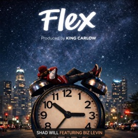 Flex (feat. Biz Levin) Shad Will