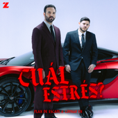 ¿CUÁL ESTRÉS? song art