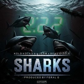 Sharks (feat. BigJERM, Kold Kota & Beau Dizzle) Feral G