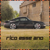 Rico esse Ano (feat. MC Malle) - Single - IID, TLZ & DAVINCI