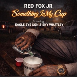 Something In My Cup (feat. EagleEyeSon & Sky Whatley) [Radio Edit] RedFoxJR