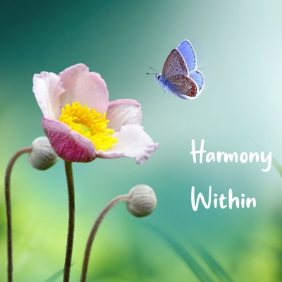 Song - Melodies of Mindfulness - Relaxed Mind