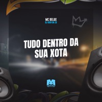 Tudo Dentro da Sua Xota - Single - MC Delux