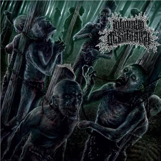 Lymphatic Phlegm / Torsofuck | Disturbed Mind Records