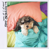Sleepyhead 2025 - Passion Pit & Sofi Tukker