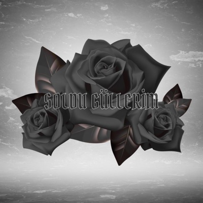 Soldu Güllerim - Single
