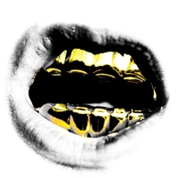 GOLD TEEF - Single - The Skinner Brothers