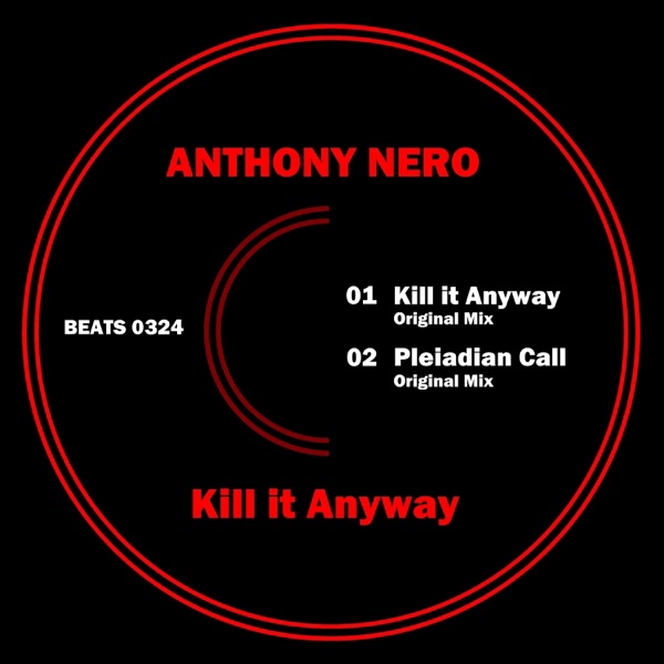 Kill It Anyway - Single