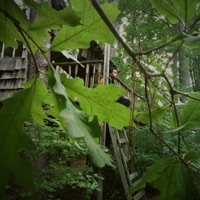 Nature Is Magic - EP - DJ Spinz & The Cashmere Collective