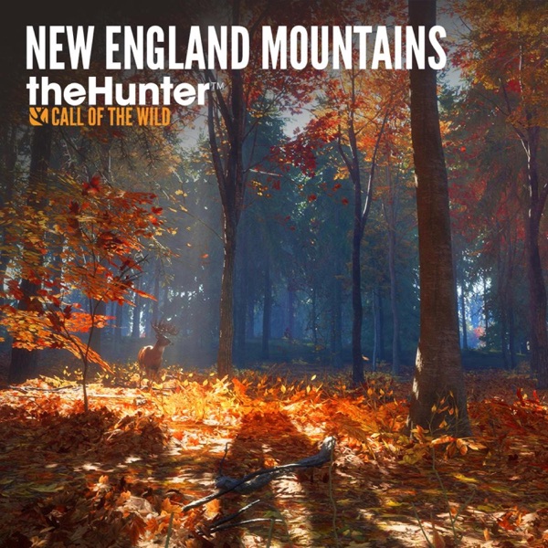 New England Mountains - Single