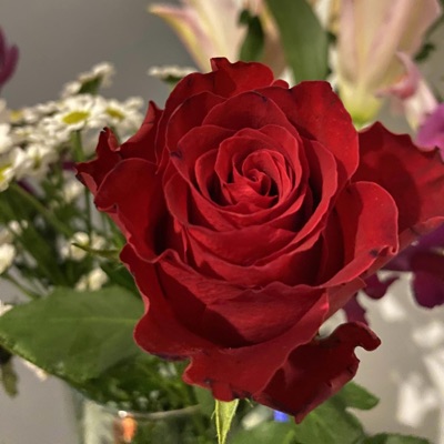 love & lust (sped up) - Single