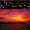 Into The Fire (Extended Mix)