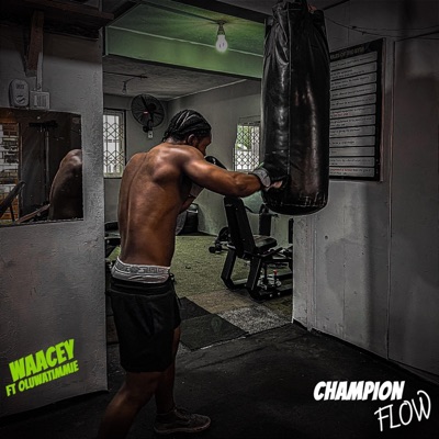 Champion Flow (feat. Oluwatimmie) - Single