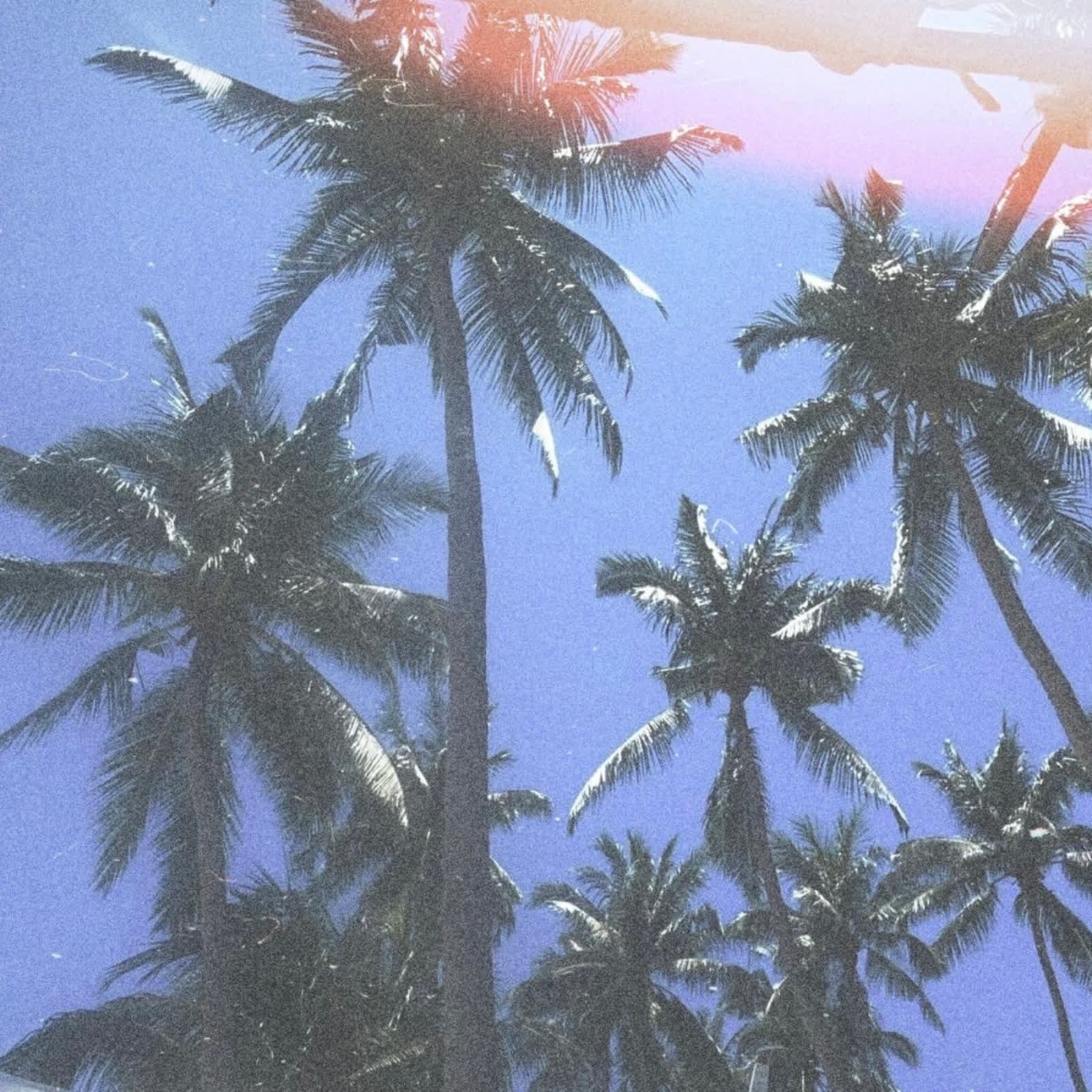 HOME - Single