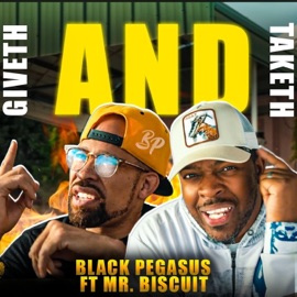 Giveth and Taketh Black Pegasus