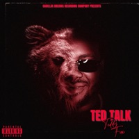 Ted Talk - Teddy Fux