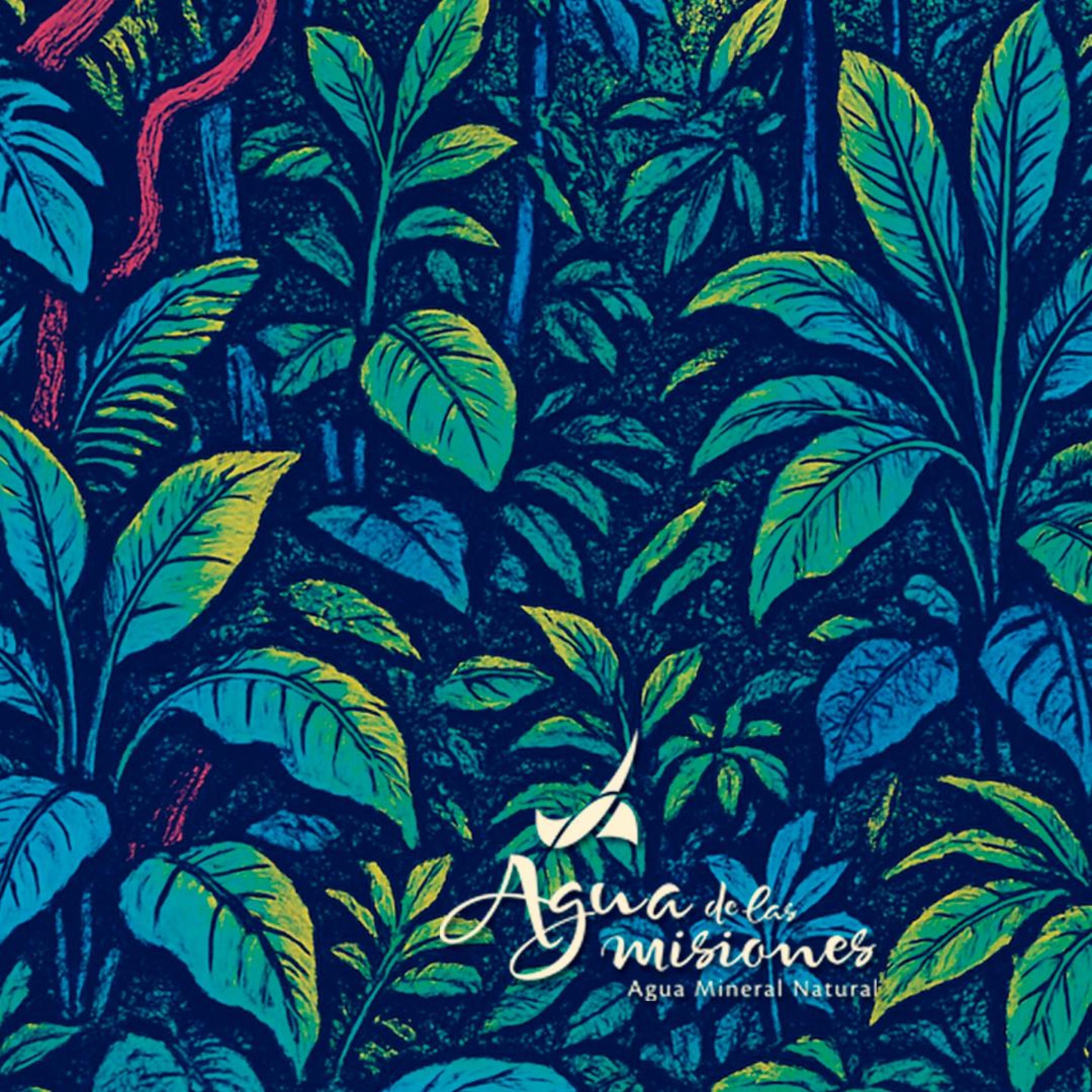 AGUA DE LAS MISIONES