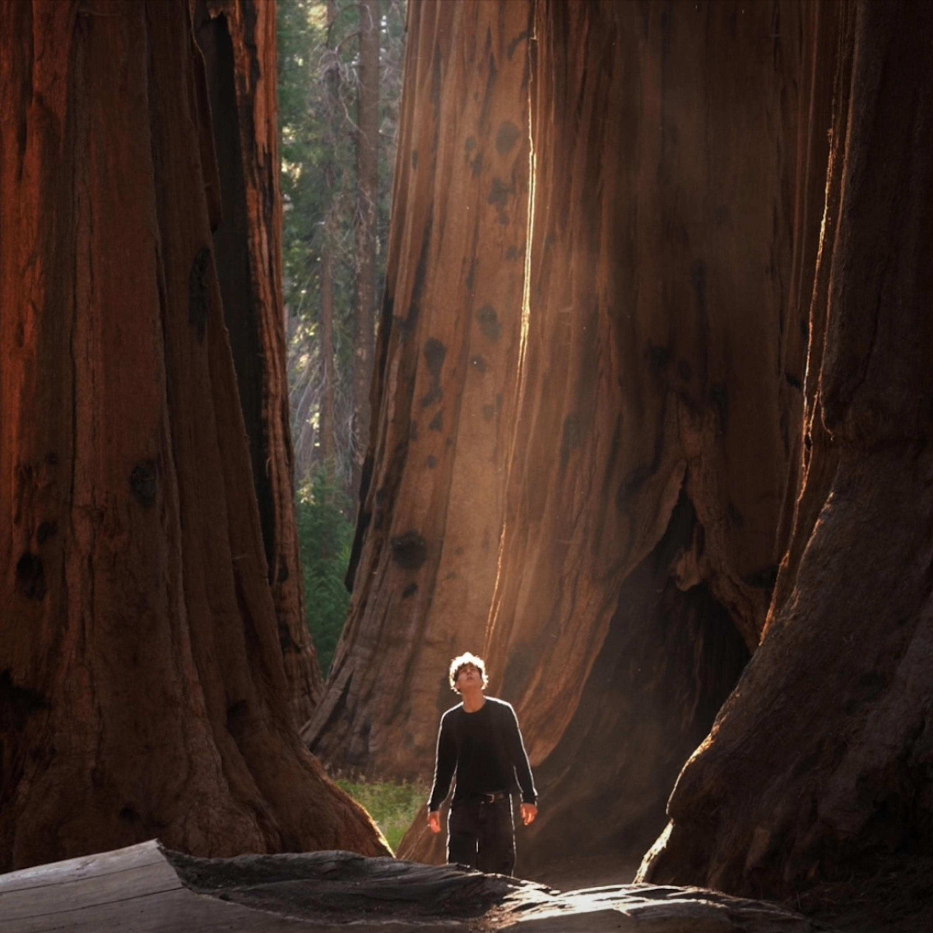 holding you - Single