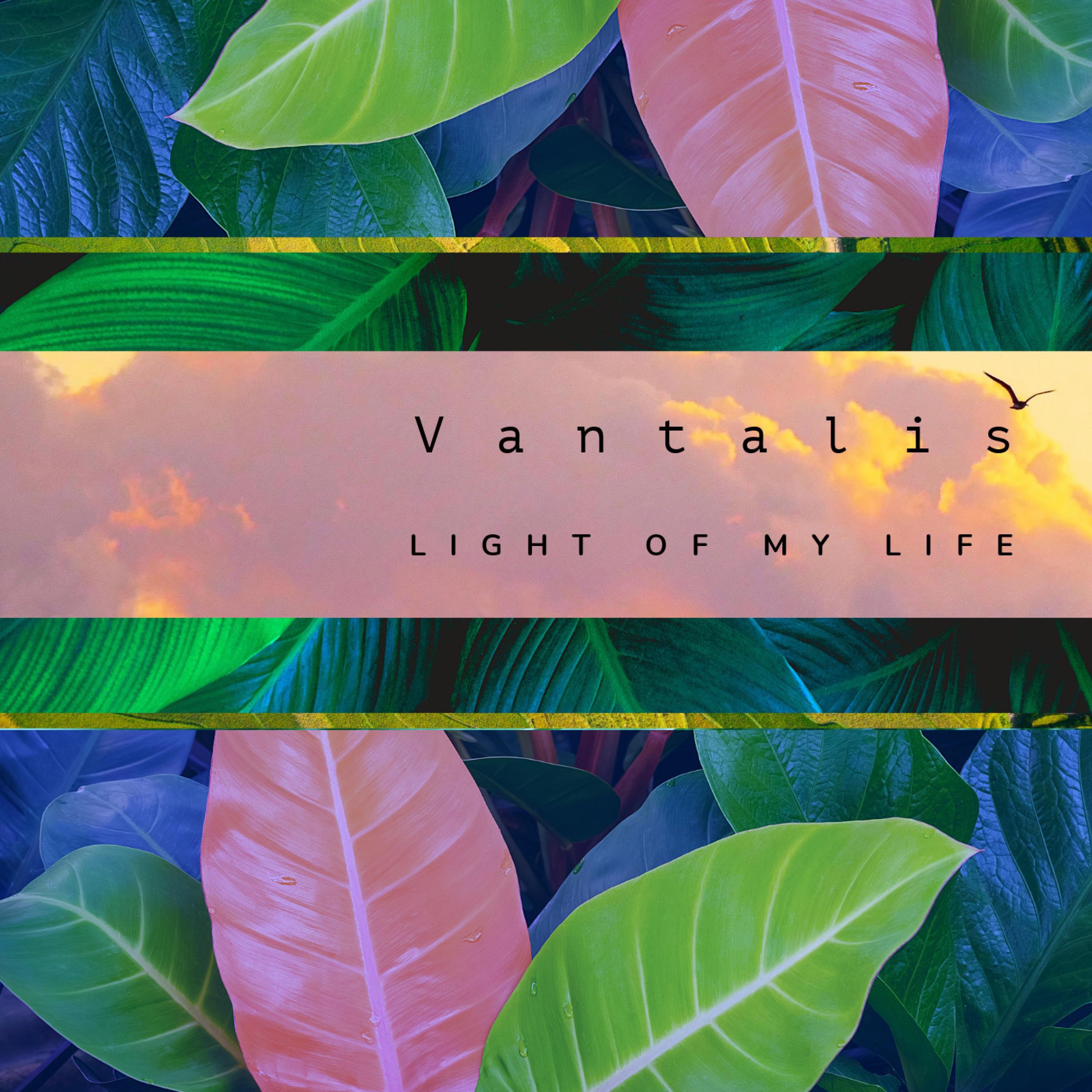 Light of my Life - EP