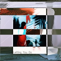 Letting You Go (feat. Subrigo) - Single - Devious R