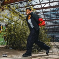 Dirty Dishes - Single - Neek