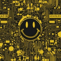 Acid Memories - Acidulant
