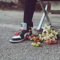 Mojo Flow - Single - CharacTer The Glitch