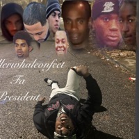 Mr.killerwhaleonfeet fa president - Single - PittGms1017