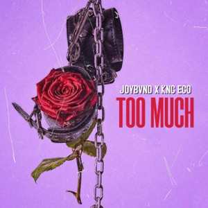 TOO MUCH (feat. Kng Ego)