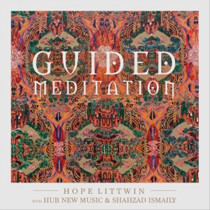 Guided Meditation (feat. Shahzad Ismaily & Hub New Music)