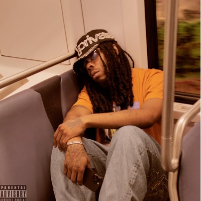 Say U Will? - Single