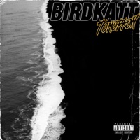You Don't Know Me - Single - BirdKatt