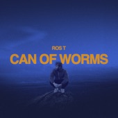 Can Of Worms artwork