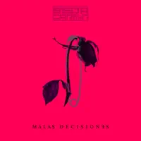 Malas Decisiones — Seda Carmín