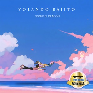 Volando Bajito (Afro House) [Remix]