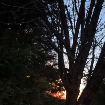 second grade (feat. longnightintokyo & Amante2k14) - Single