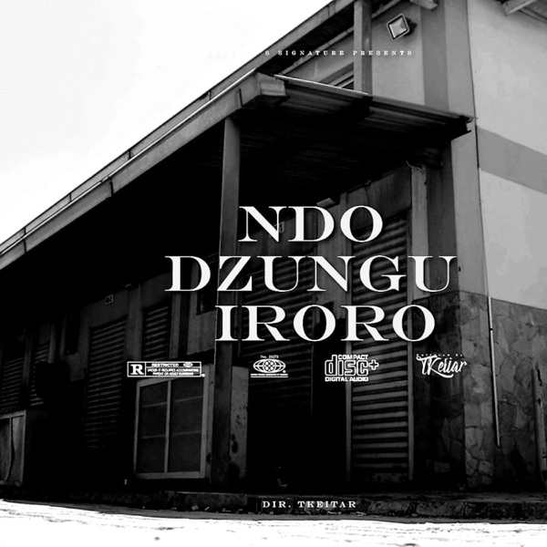 Ndodzungu iroro