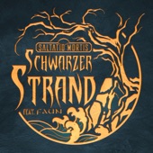 Schwarzer Strand (feat. Faun) artwork