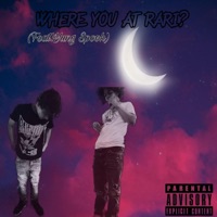 WHERE YOU AT RARI ? (feat. Yung Spook) - Single - Lil Ferrari