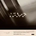 Life In The Fast Brain